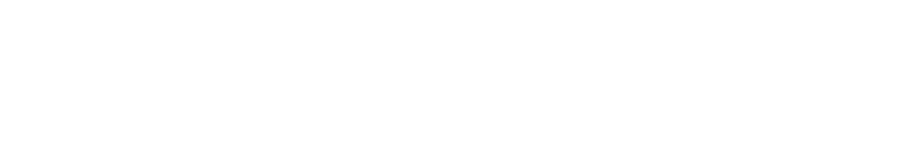 Beux Levi